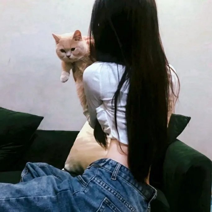 情陷高达 在线观看